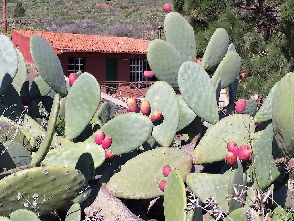 El Cuarto De Aperos Hotel San Miguel De Abona